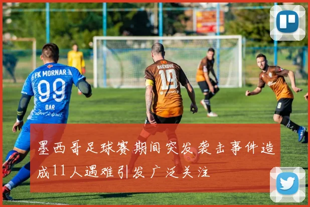 墨西哥足球赛期间突发袭击事件造成11人遇难引发广泛关注