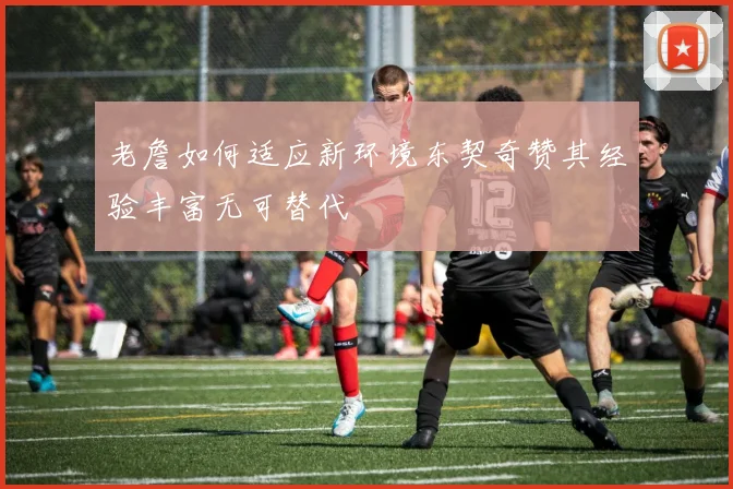 老詹如何适应新环境东契奇赞其经验丰富无可替代